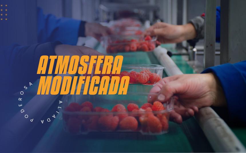 Embalagem com atmosfera modificada: A solução ideal para conservar frutas e legumes